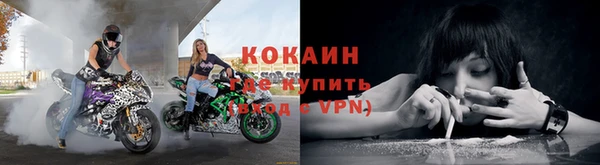 молекула духа Лагань