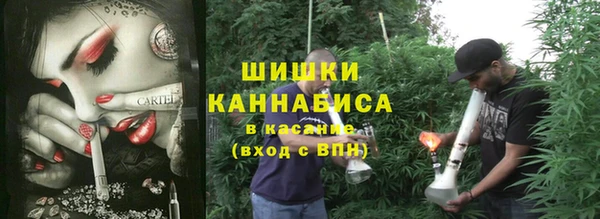 молекула духа Лагань